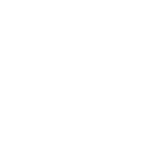 SOFTEX
